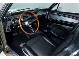 1967 Shelby GT500 (CC-2075502) for sale in Halton Hills, Ontario