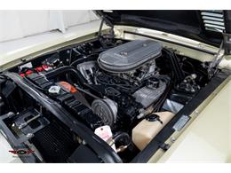 1967 Shelby GT500 (CC-2075502) for sale in Halton Hills, Ontario