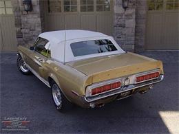 1968 Ford Shelby GT350 (CC-2075512) for sale in Halton Hills, Ontario
