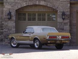 1968 Ford Shelby GT350 (CC-2075512) for sale in Halton Hills, Ontario