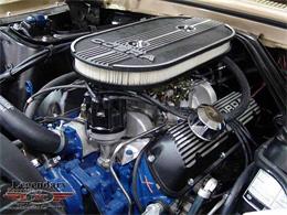 1968 Ford Shelby GT350 (CC-2075512) for sale in Halton Hills, Ontario