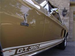 1968 Ford Shelby GT350 (CC-2075512) for sale in Halton Hills, Ontario
