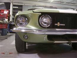 1968 Ford Mustang Shelby GT500 (CC-2075513) for sale in Halton Hills, Ontario