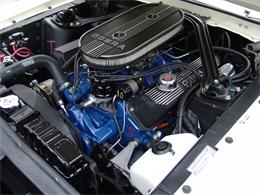 1968 Ford Mustang Shelby GT500 (CC-2075514) for sale in Halton Hills, Ontario