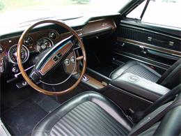 1968 Ford Mustang Shelby GT500 (CC-2075514) for sale in Halton Hills, Ontario