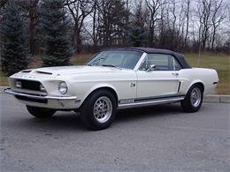 1968 Ford Mustang Shelby GT500 (CC-2075515) for sale in Halton Hills, Ontario