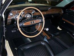 1968 Ford Mustang Shelby GT500 (CC-2075515) for sale in Halton Hills, Ontario