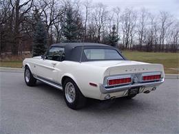 1968 Ford Mustang Shelby GT500 (CC-2075515) for sale in Halton Hills, Ontario