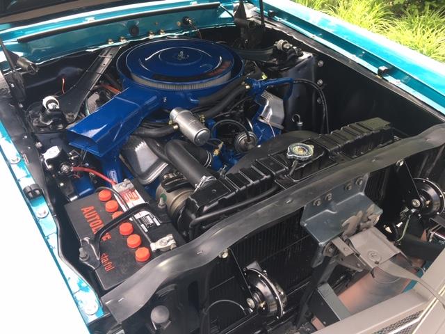 1969 Shelby Mustang (CC-2075525) for sale in Halton Hills, Ontario