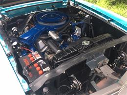 1969 Shelby Mustang (CC-2075525) for sale in Halton Hills, Ontario