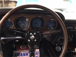 1969 Shelby Mustang (CC-2075525) for sale in Halton Hills, Ontario