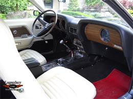 1969 Ford Mustang Shelby GT500 (CC-2075526) for sale in Halton Hills, Ontario