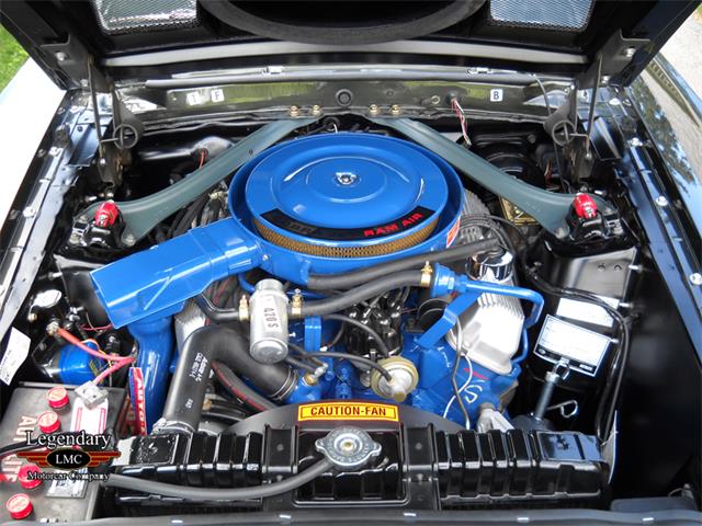 1969 Ford Mustang Shelby GT500 (CC-2075526) for sale in Halton Hills, Ontario