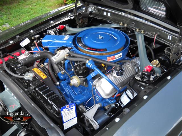 1969 Ford Mustang Shelby GT500 (CC-2075526) for sale in Halton Hills, Ontario