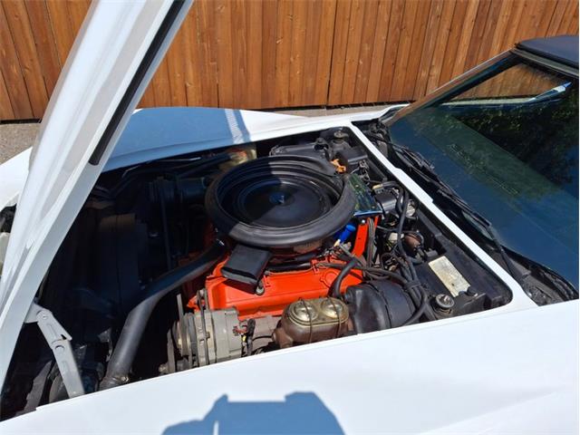 1974 Chevrolet Corvette (CC-2075667) for sale in Greensboro, North Carolina