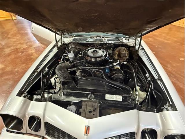 1977 Chevrolet Camaro Z28 (CC-2075669) for sale in Greensboro, North Carolina