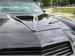 1979 Chevrolet Camaro Z28 (CC-2075687) for sale in Greene, Iowa