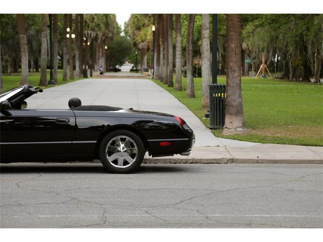 2002 Ford Thunderbird (CC-2075716) for sale in Savannah, Georgia