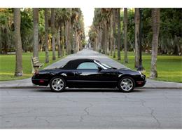 2002 Ford Thunderbird (CC-2075716) for sale in Savannah, Georgia