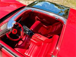 1981 Chevrolet Corvette (CC-2075721) for sale in Pompano Beach, Florida