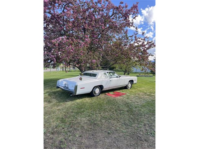 1978 Cadillac Eldorado (CC-2075750) for sale in Bozeman, Montana
