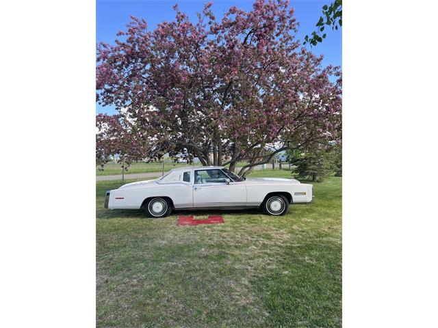 1978 Cadillac Eldorado (CC-2075750) for sale in Bozeman, Montana