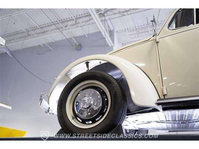 1967 Volkswagen Beetle (CC-2075804) for sale in Concord, North Carolina