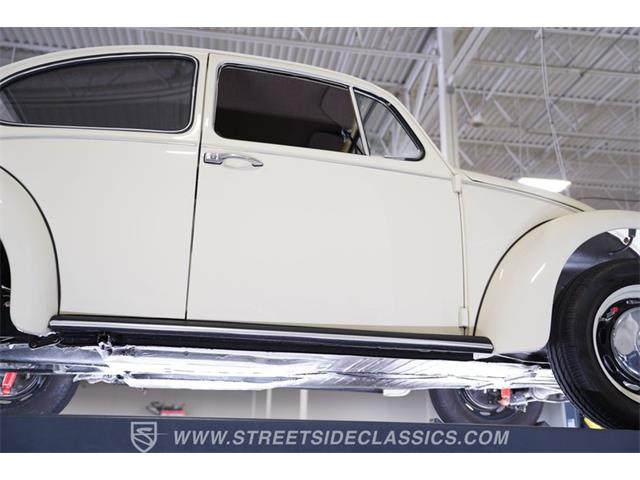 1967 Volkswagen Beetle (CC-2075804) for sale in Concord, North Carolina