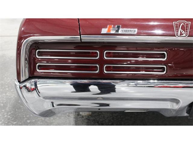 1967 Pontiac GTO (CC-2075810) for sale in Runnemede, New Jersey