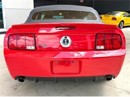 2006 Ford Mustang (CC-2075830) for sale in Bradenton, Florida