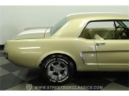 1965 Ford Mustang (CC-2075831) for sale in Lutz, Florida