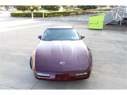 1993 Chevrolet Corvette (CC-2075839) for sale in Houston, Texas