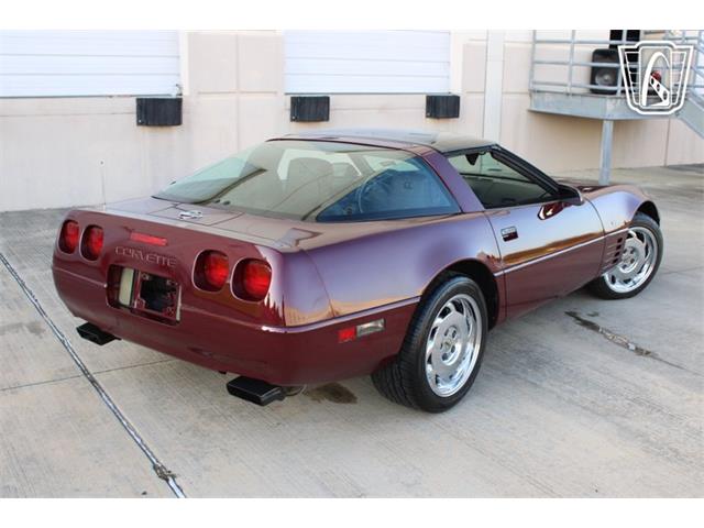 1993 Chevrolet Corvette (CC-2075839) for sale in Houston, Texas