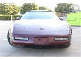 1993 Chevrolet Corvette (CC-2075839) for sale in Houston, Texas