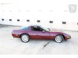 1993 Chevrolet Corvette (CC-2075839) for sale in Houston, Texas
