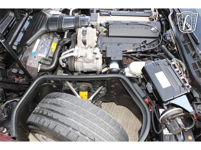 1993 Chevrolet Corvette (CC-2075839) for sale in Houston, Texas