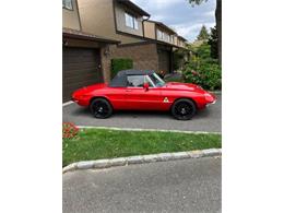 1969 Alfa Romeo Spider (CC-2075867) for sale in Cadillac, Michigan