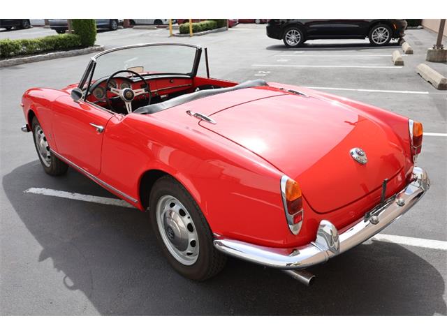 1963 Alfa Romeo Giulia Spider (CC-2075901) for sale in Astoria, New York