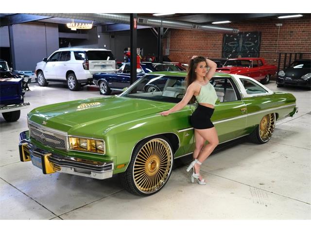 1976 Chevrolet Caprice (CC-2075915) for sale in St. Louis, Missouri