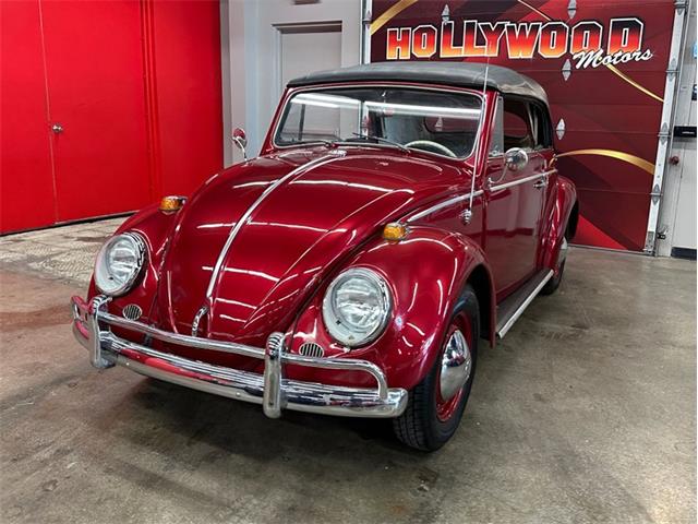 1964 Volkswagen Beetle (CC-2075937) for sale in West Babylon, New York