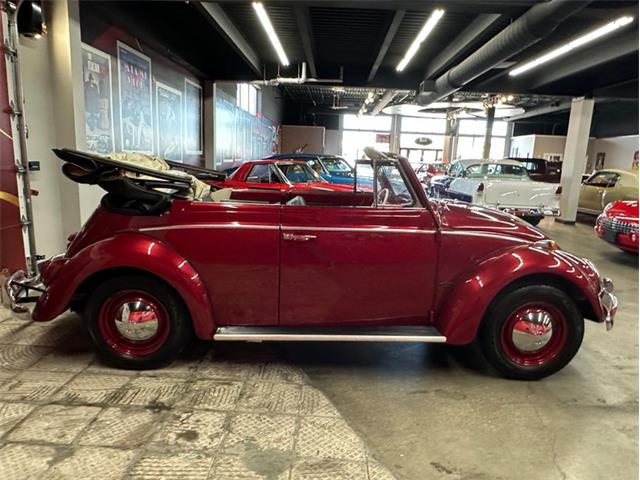 1964 Volkswagen Beetle (CC-2075937) for sale in West Babylon, New York