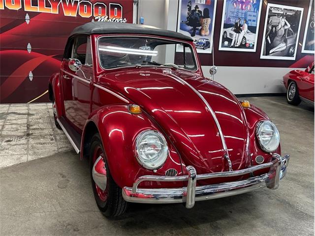1964 Volkswagen Beetle (CC-2075937) for sale in West Babylon, New York