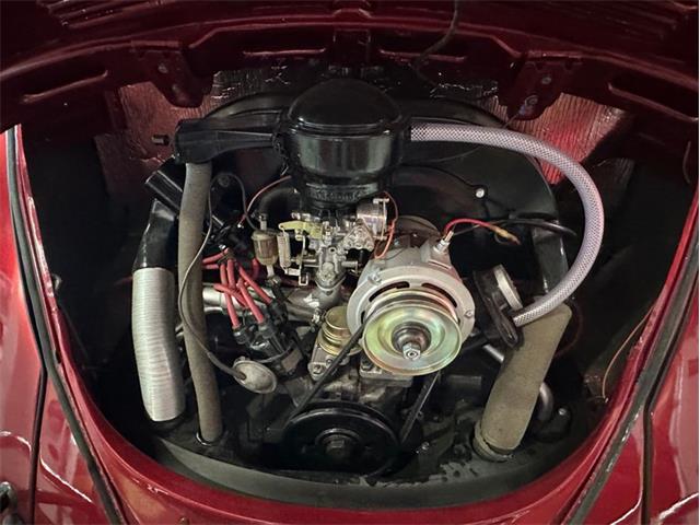 1964 Volkswagen Beetle (CC-2075937) for sale in West Babylon, New York