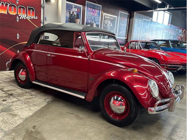 1964 Volkswagen Beetle (CC-2075937) for sale in West Babylon, New York