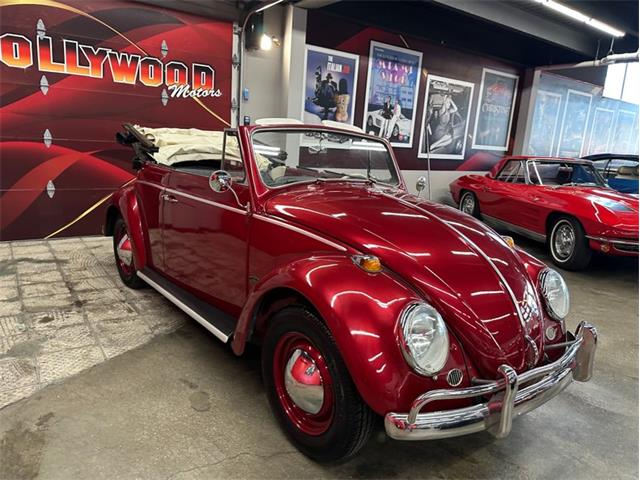 1964 Volkswagen Beetle (CC-2075937) for sale in West Babylon, New York