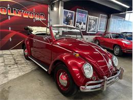 1964 Volkswagen Beetle (CC-2075937) for sale in West Babylon, New York