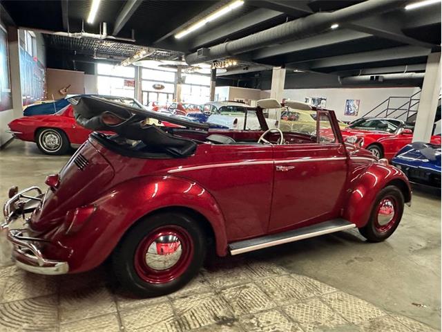 1964 Volkswagen Beetle (CC-2075937) for sale in West Babylon, New York
