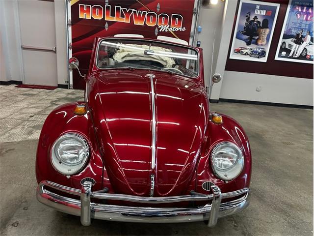 1964 Volkswagen Beetle (CC-2075937) for sale in West Babylon, New York