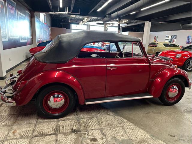 1964 Volkswagen Beetle (CC-2075937) for sale in West Babylon, New York