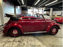 1964 Volkswagen Beetle (CC-2075937) for sale in West Babylon, New York